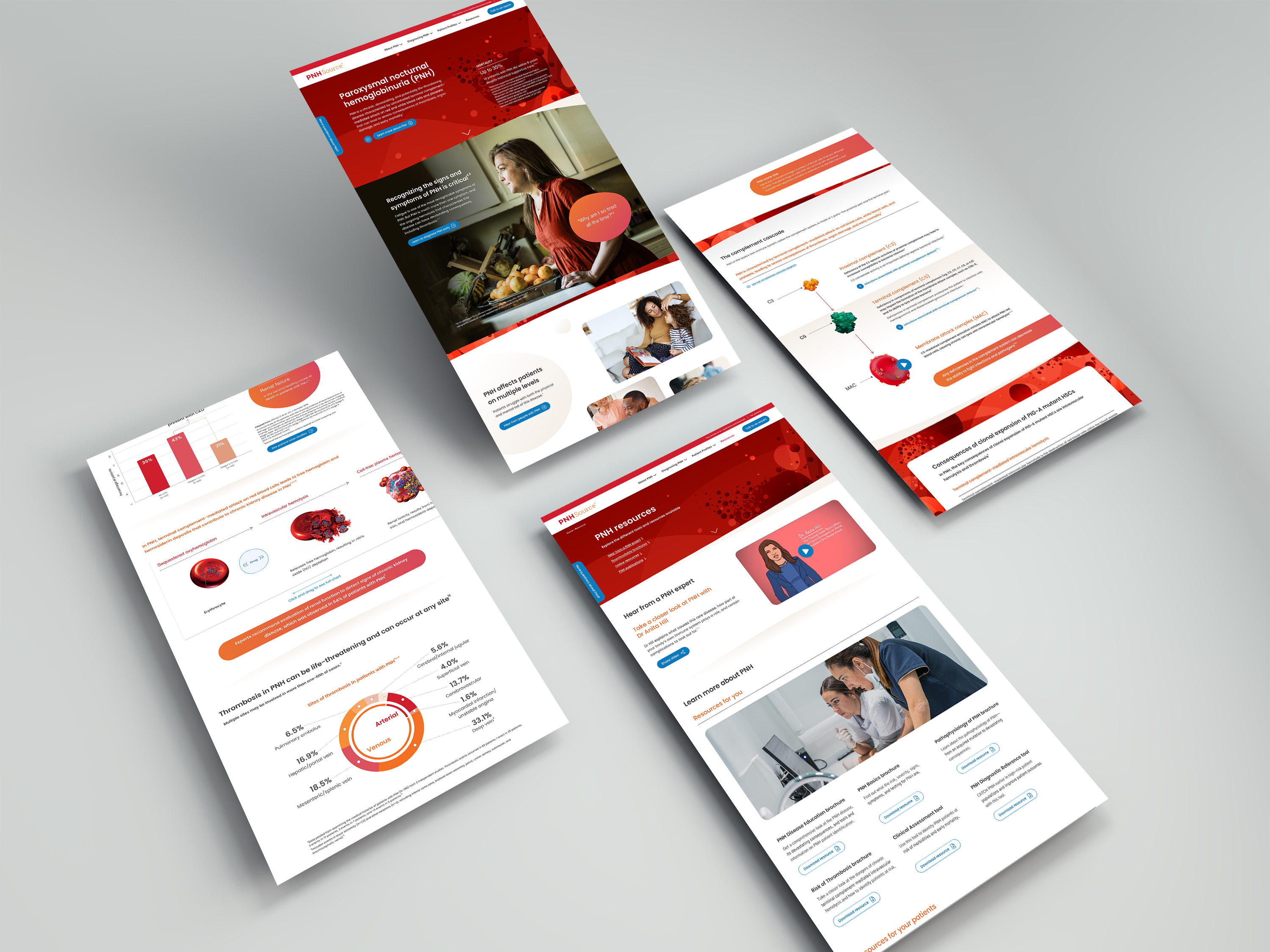 Desktop screen mockups of four PNH webpages